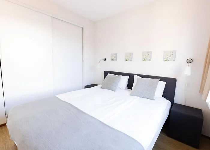 Hermanus Boexstraat Appartement *